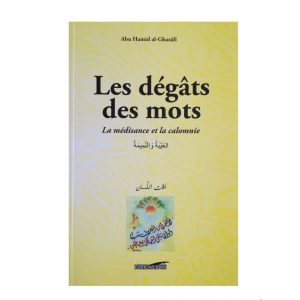 Les-degats-des-mots1.jpg