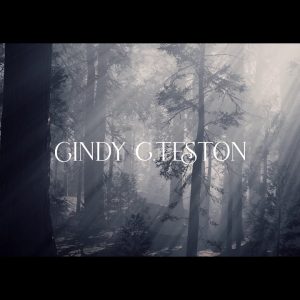 Leveil-du-Phenix-de-Cindy-teston.jpg