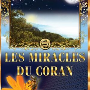 les-miracles-du-coran1.jpg